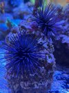 IMG_8440.jpeg