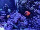 IMG_6559.jpg