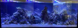 IMG_2238.jpeg