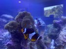 IMG_2247.jpeg