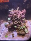 IMG_6998.jpeg
