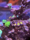IMG_6916.jpeg