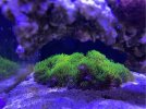IMG_5401.jpeg