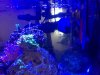 IMG_0840.JPG
