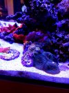 20231123_174323.jpg