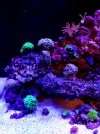 20231123_174334.jpg