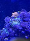 IMG_3759.jpeg