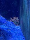 IMG_3758.jpeg