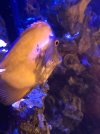 IMG_0403.jpeg