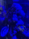 5BC2662D-744A-4C2D-9D1C-66449FF53CA3.jpeg