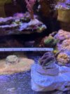 IMG_0241.jpeg