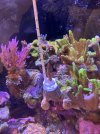 IMG_0239.jpeg