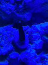 IMG_8027.jpeg