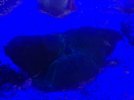 IMG_2313.jpeg