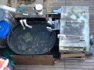 IMG_5299.jpeg