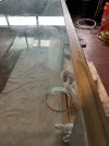 IMG_5361.jpeg