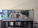 IMG_5411.jpeg
