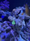 IMG_4199.jpeg