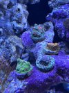 IMG_4197.jpeg