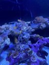 IMG_4198.jpeg