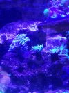 20240515_175505.jpg