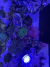 IMG_8161.jpeg