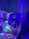 IMG_8160.jpeg