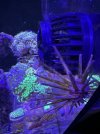 IMG_8161.jpeg