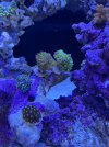 IMG_4228.jpeg