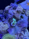 IMG_4231.jpeg