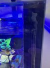 IMG_1733.jpeg
