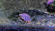 IMG_0786.jpeg