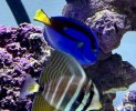 IMG_3217.jpeg