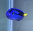 IMG_3391.jpeg