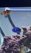 IMG_3386.jpeg