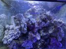 IMG_2257.jpeg