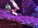 IMG_3964.jpeg