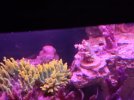 20240531_095557.jpg