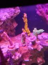 20240531_095540.jpg