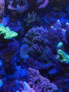 IMG_2323.jpeg