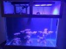 20240605_181741.jpg