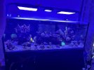IMG_5128.jpeg