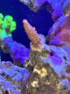 IMG_4401.jpeg