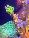 IMG_4400.jpeg