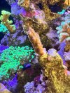 IMG_4602.jpeg