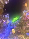 IMG_4587.jpeg