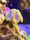 IMG_4398.jpeg