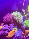 IMG_4354.jpeg