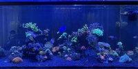 IMG_4015.jpeg