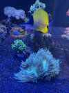 IMG_4030.jpeg
